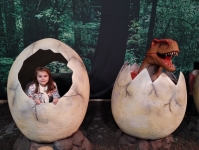 img_20231206_143807861-kopiowanie-jpg1706636717